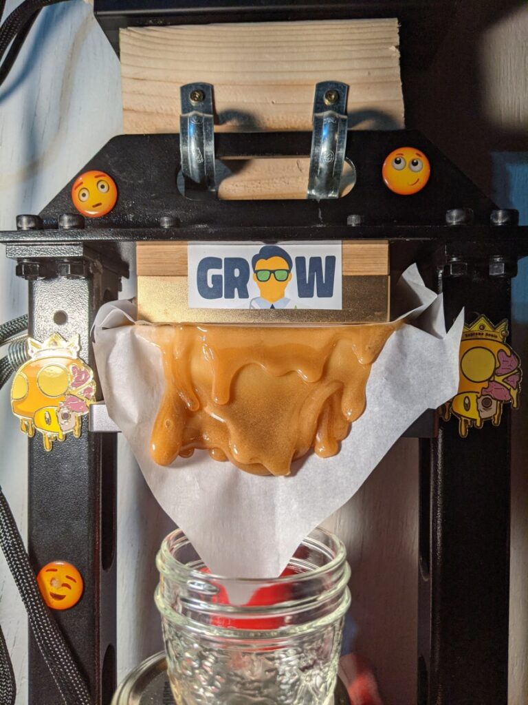 Pressing hash rosin