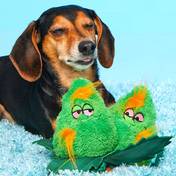 Bark 4/20 Dog Toys